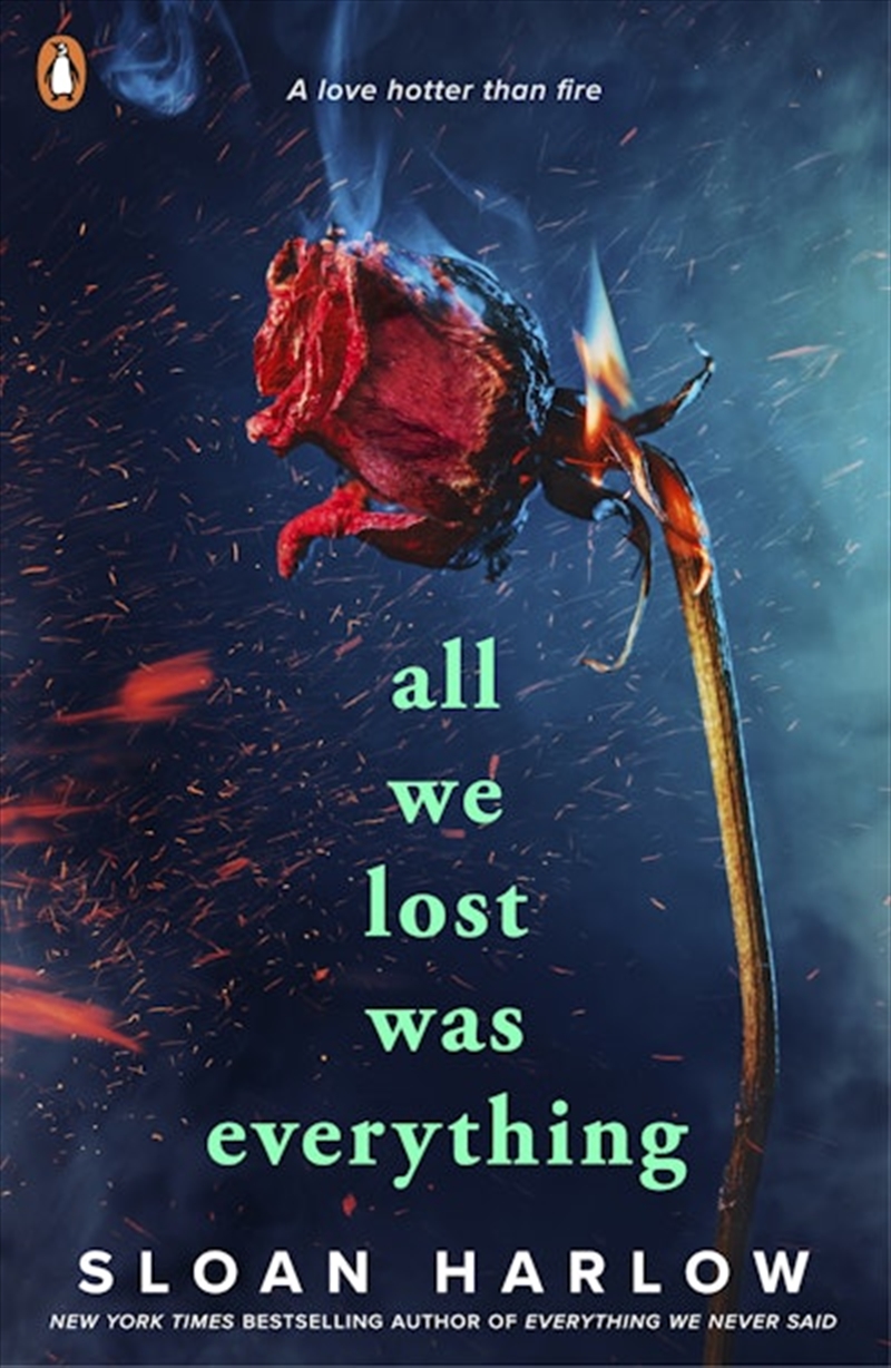All We Lost Was Everything/Product Detail/Childrens Fiction Books