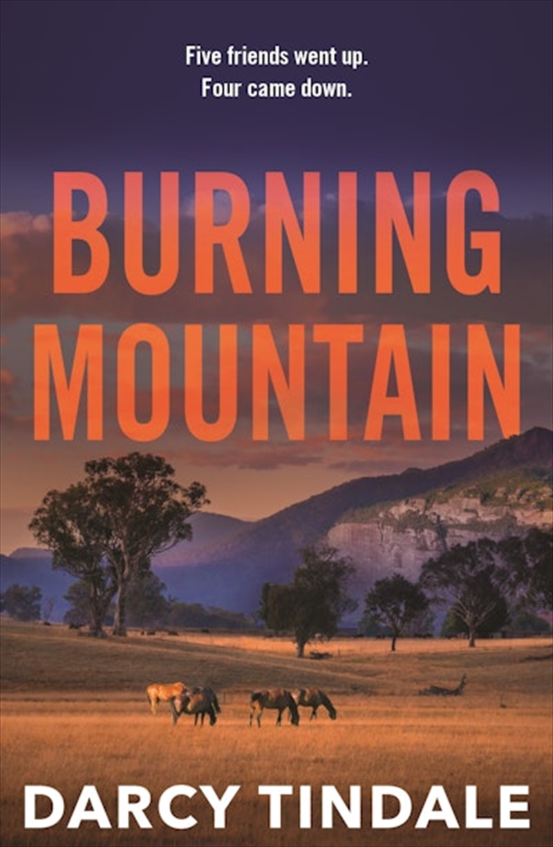 Burning Mountain/Product Detail/Thrillers & Horror Books