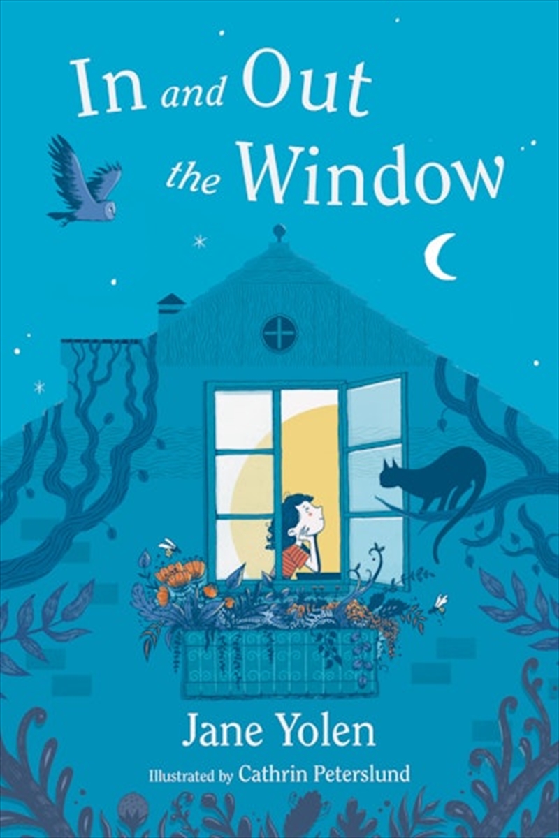 In And Out The Window/Product Detail/Early Childhood Fiction Books