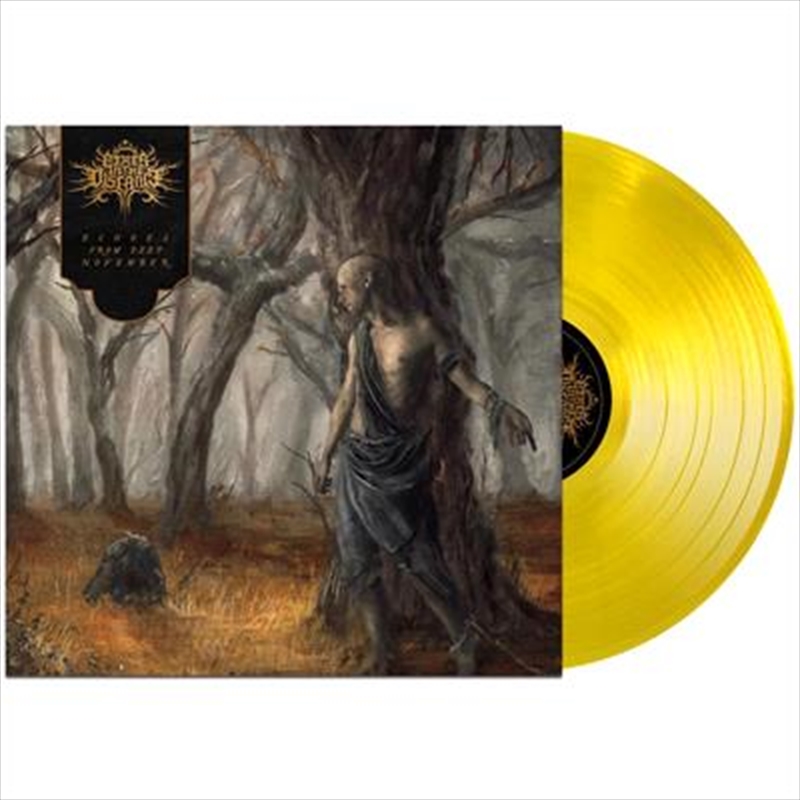 Echoes From Deep November - Clear Yellow Vinyl/Product Detail/Metal