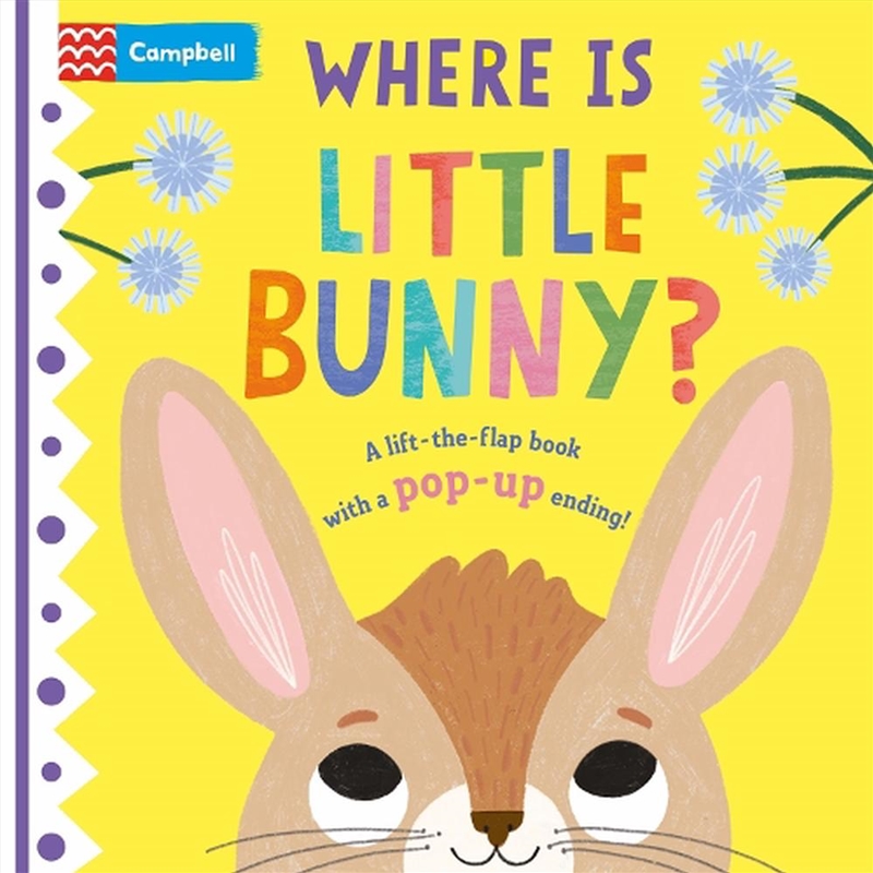 Where is Little Bunny?/Product Detail/Early Childhood Fiction Books
