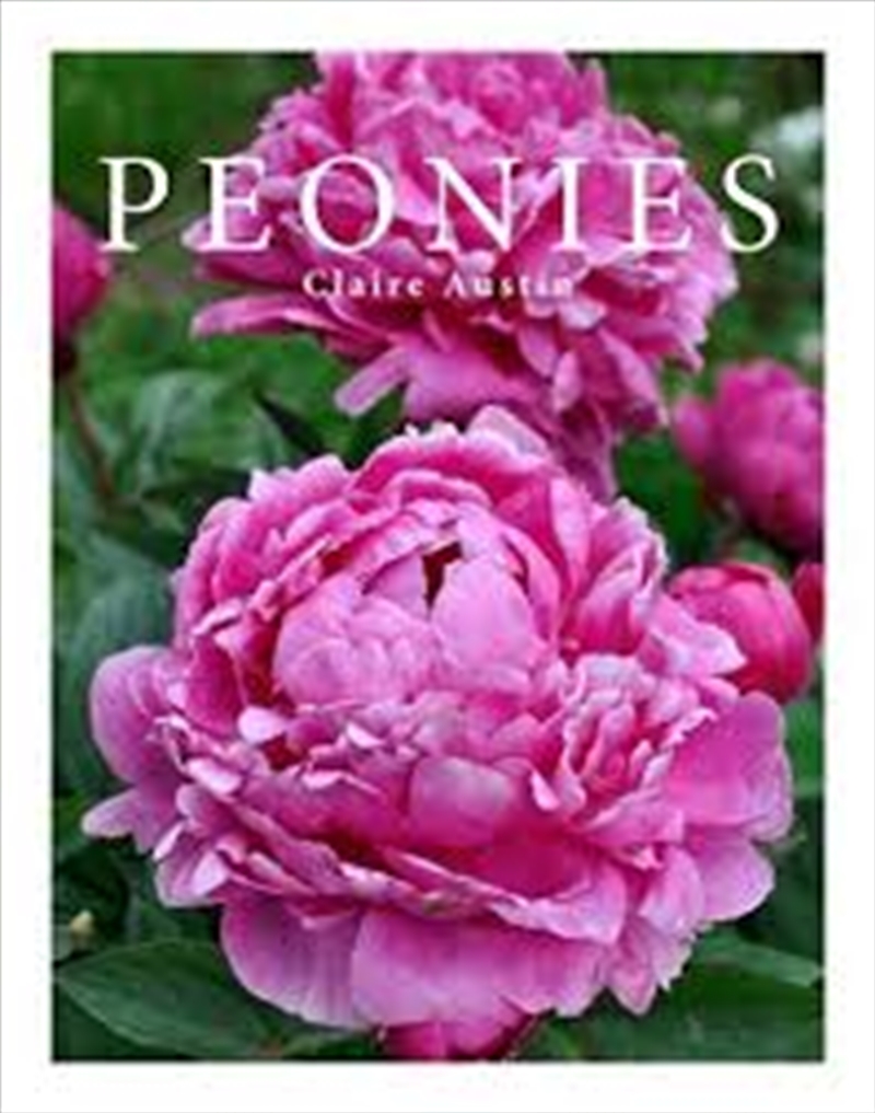 Peonies/Product Detail/Gardening