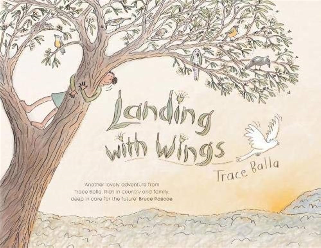 Landing With Wings/Product Detail/Childrens Fiction Books