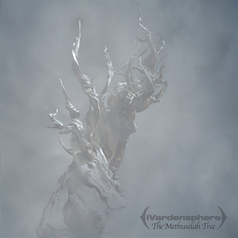 The Methuselah Tree/Product Detail/Dance