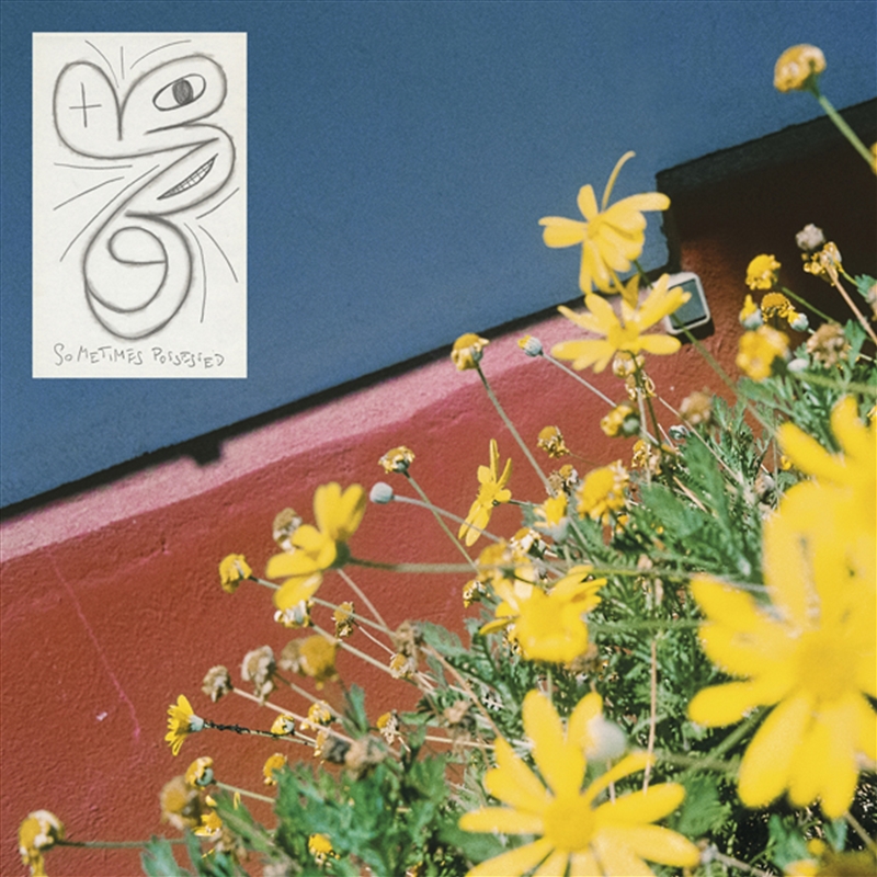 Sometimes Possessed/Product Detail/Alternative