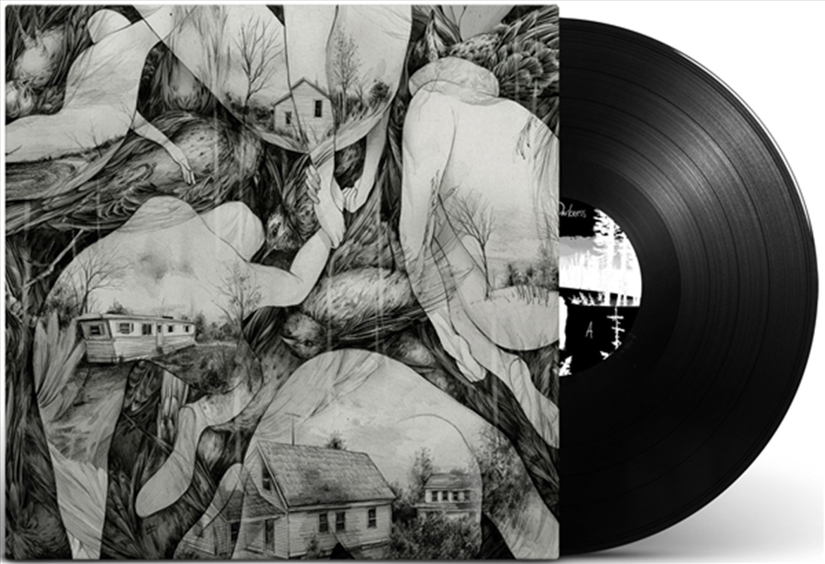 Rays Of Darkness/Product Detail/Rock/Pop