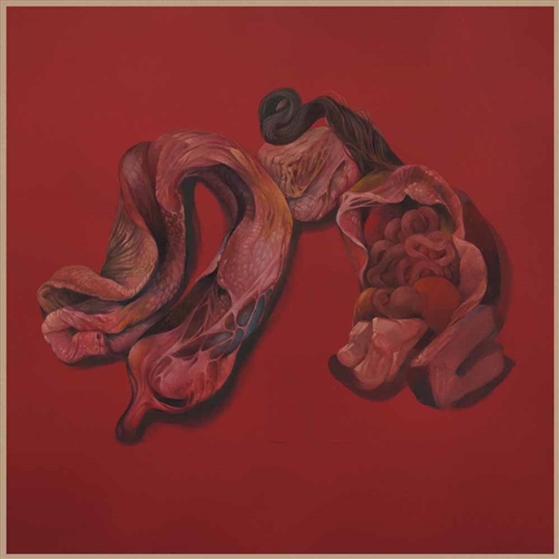 Body Cults/Product Detail/Punk