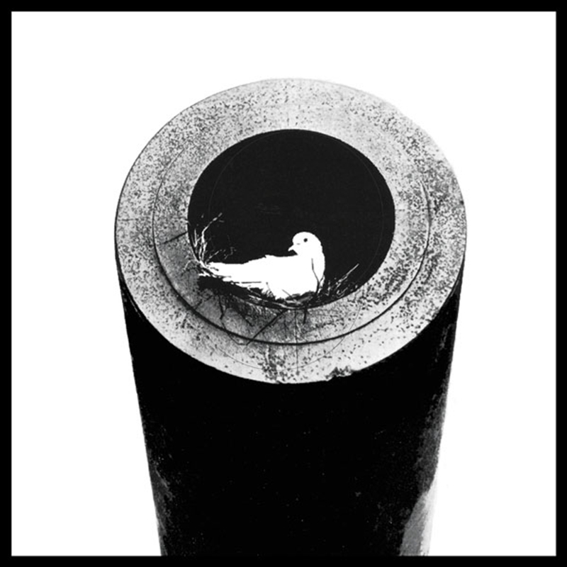 Off The Grid/Product Detail/Punk