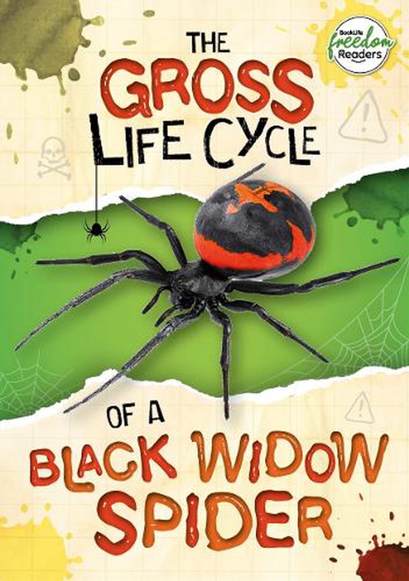 The Gross Life Cycle Of A Black Widow Spider/Product Detail/Animals & Nature