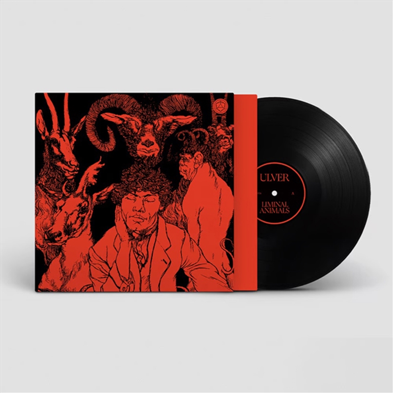 Liminal Animals/Product Detail/Dance