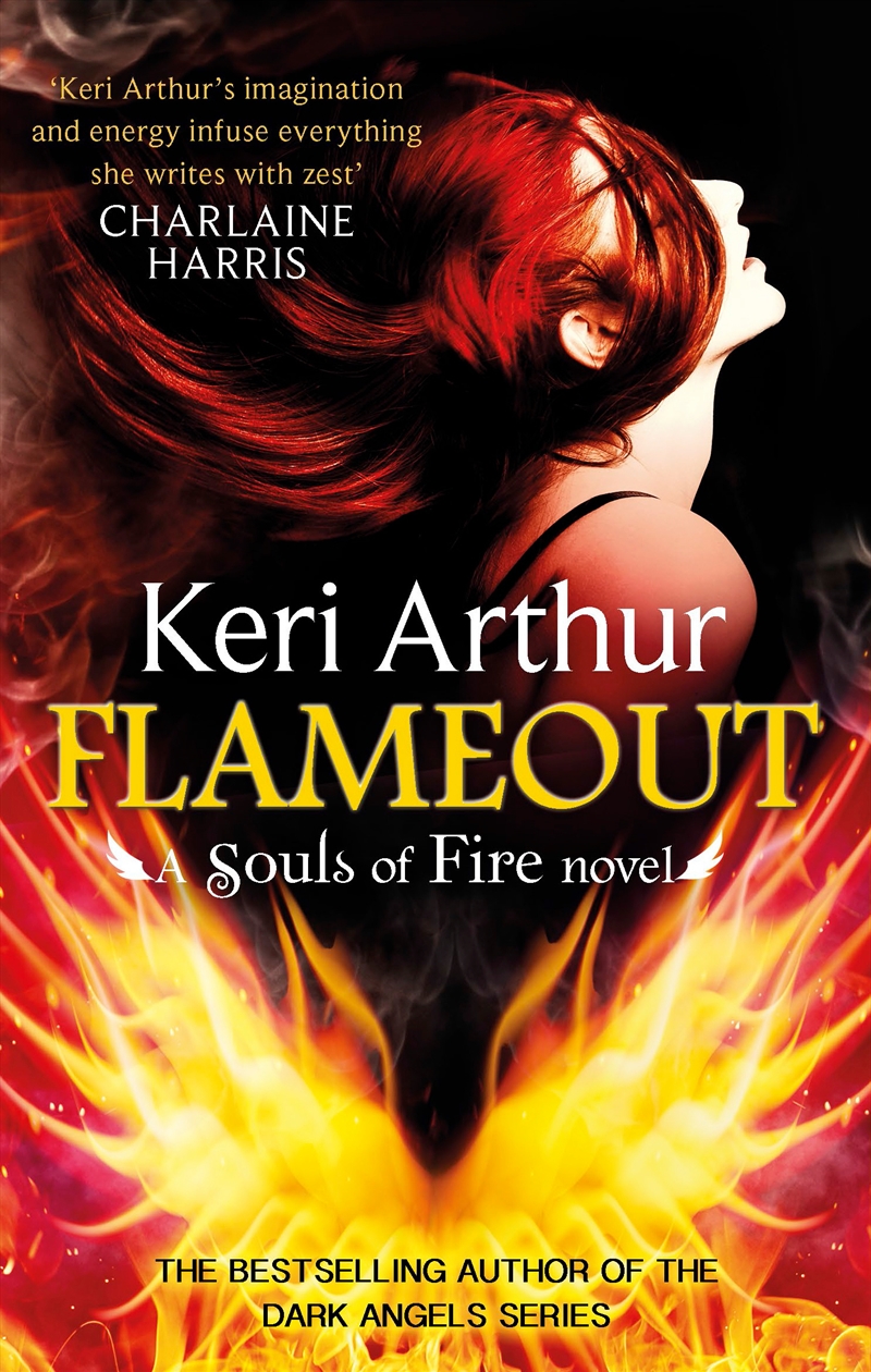 Flameout/Product Detail/Thrillers & Horror Books