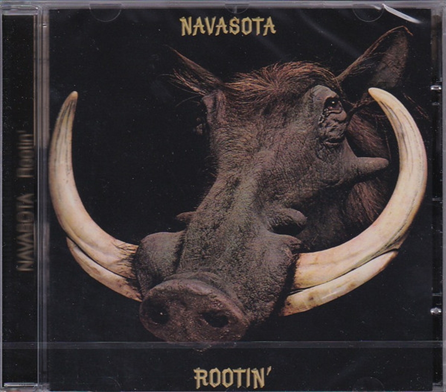 Rootin'/Product Detail/Rock/Pop