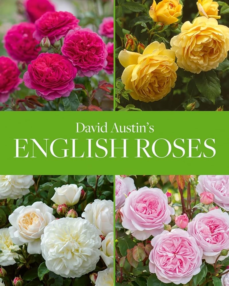 David Austin'S English Roses/Product Detail/Gardening