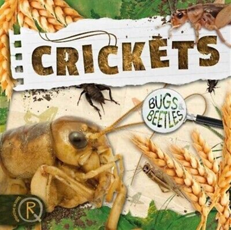 Crickets/Product Detail/Animals & Nature