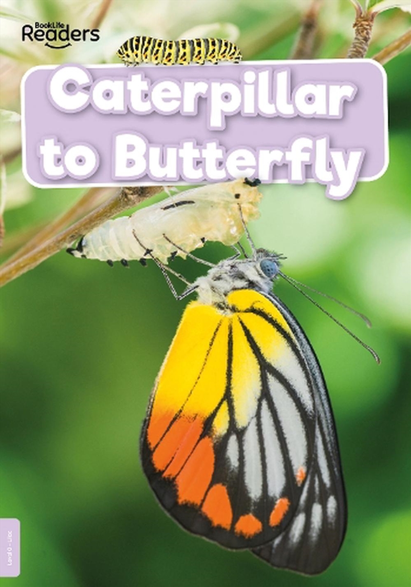 Caterpillar To Butterfly/Product Detail/Childrens