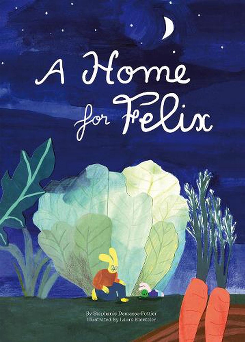 A Home for Felix/Product Detail/Childrens Fiction Books