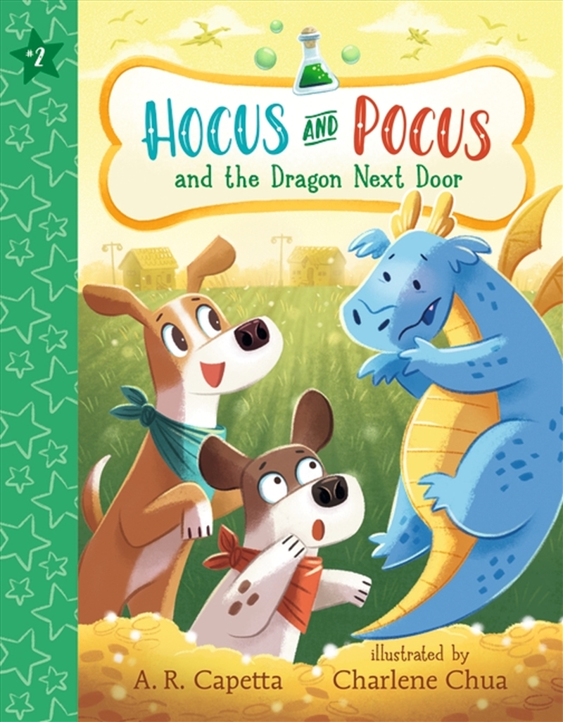 Hocus and Pocus and the Dragon Next Door/Product Detail/Childrens Fiction Books