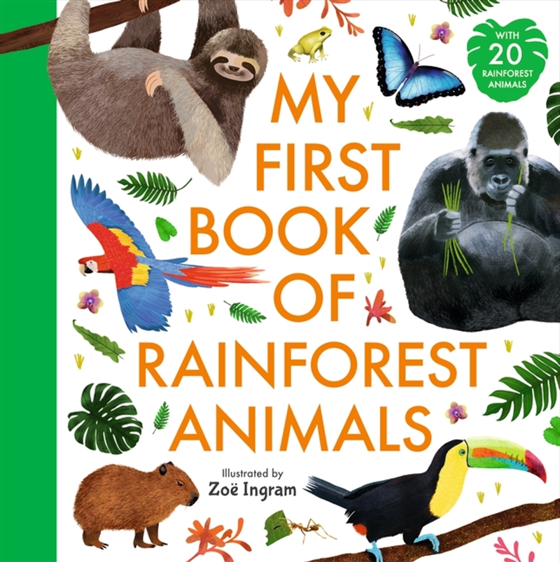 My First Book of Rainforest Animals/Product Detail/Childrens