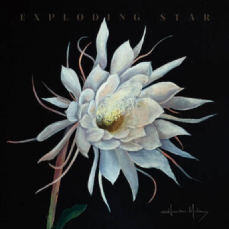 Exploding Star/Product Detail/Blues