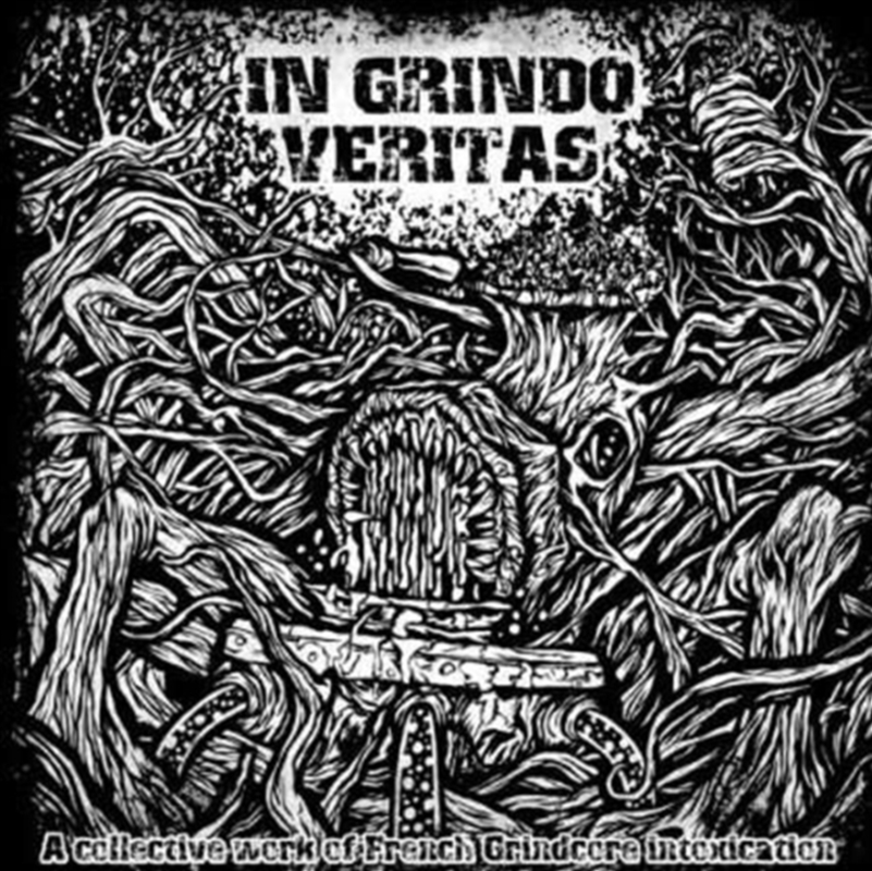 In Grindo Veritas/Product Detail/Reggae