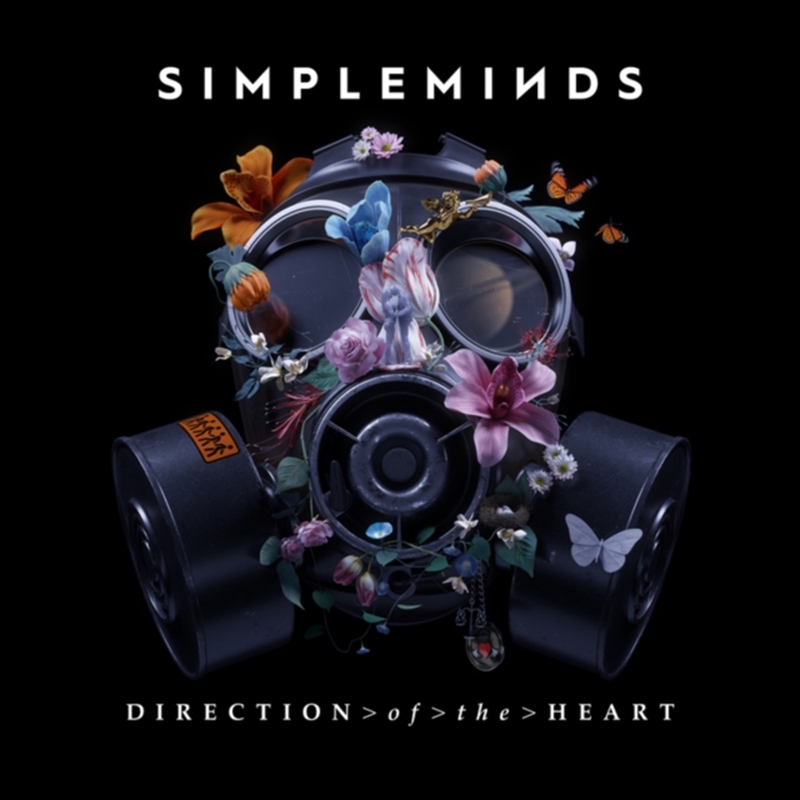 Direction Of The Heart - Trans/Product Detail/Rock/Pop