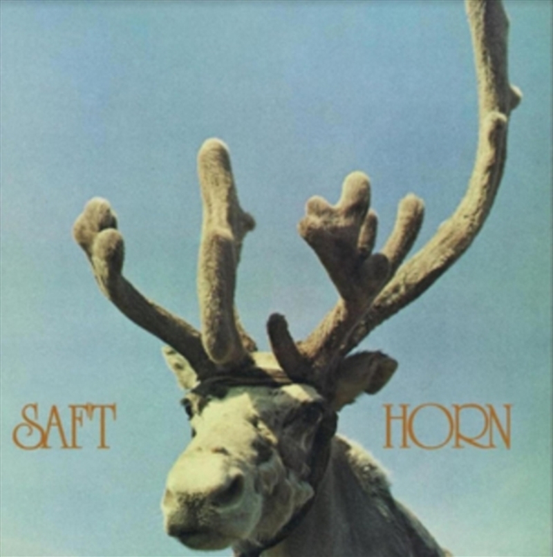 Horn/Product Detail/Rock/Pop