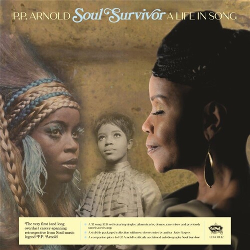 Soul Survivor - A Life In Song/Product Detail/R&B