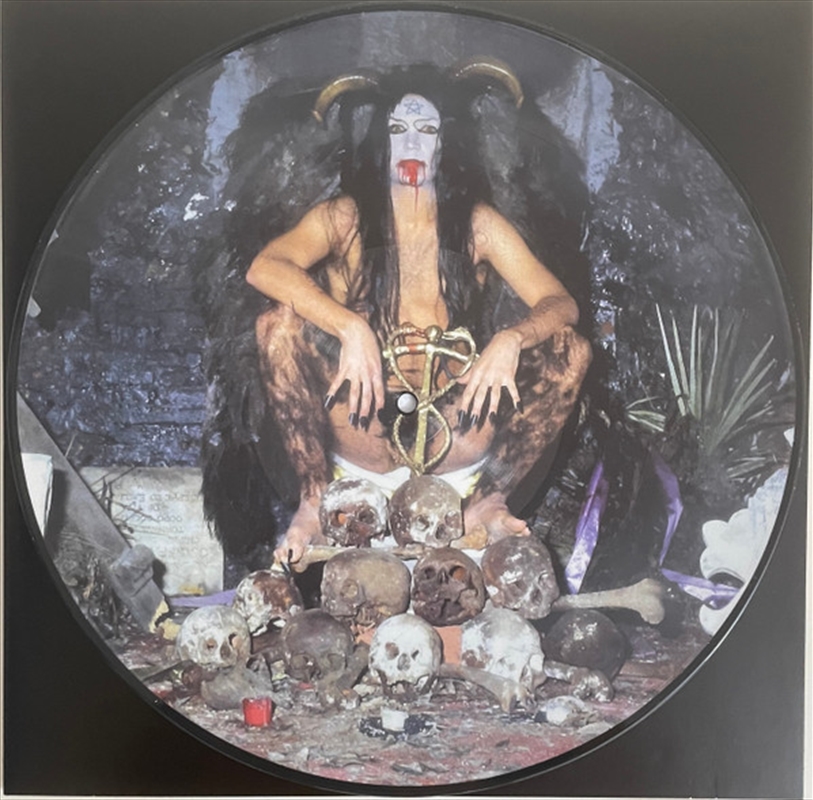 In Death Of Steve Sylvester/Product Detail/Rock/Pop