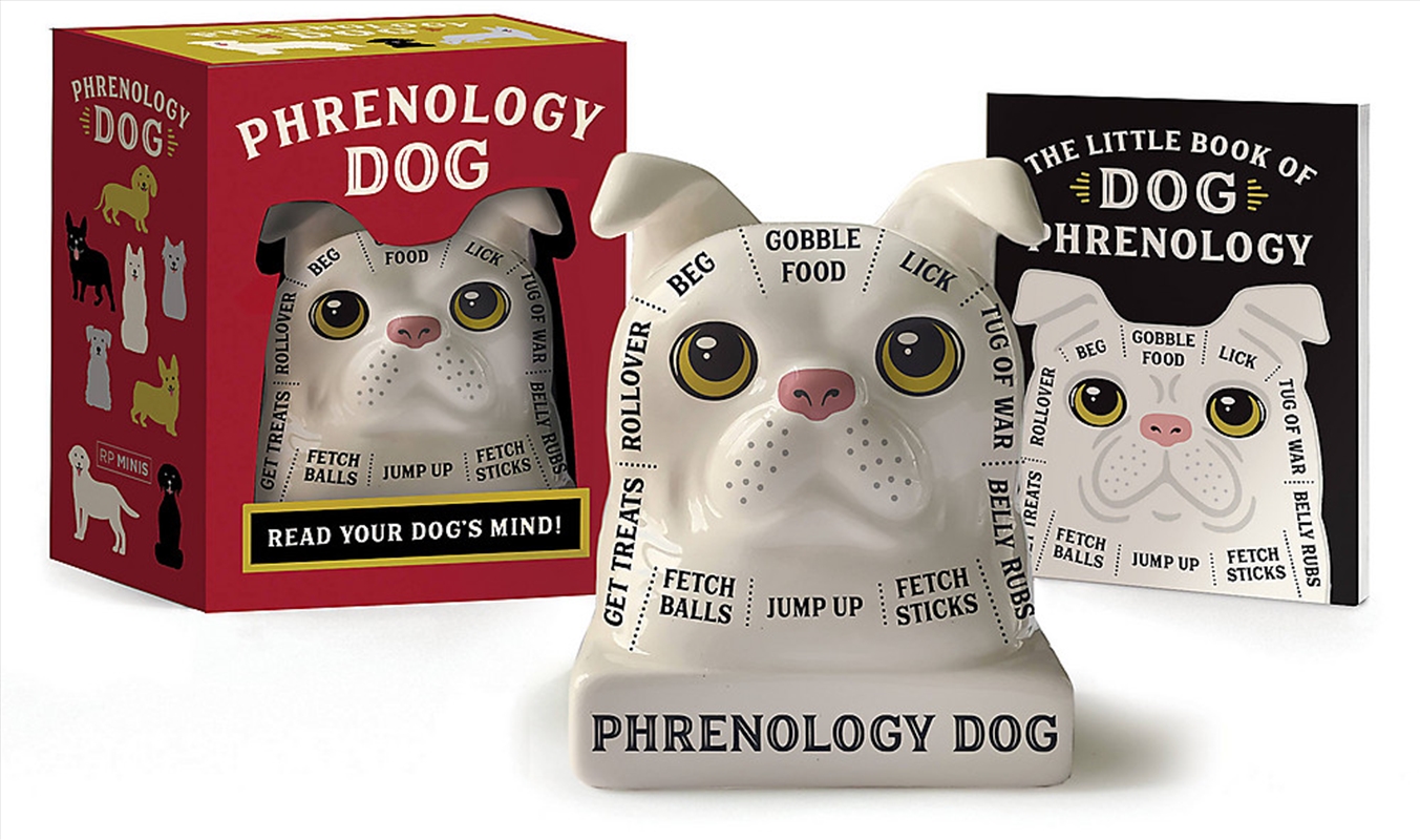 Phrenology Dog/Product Detail/Novelty & Gifts