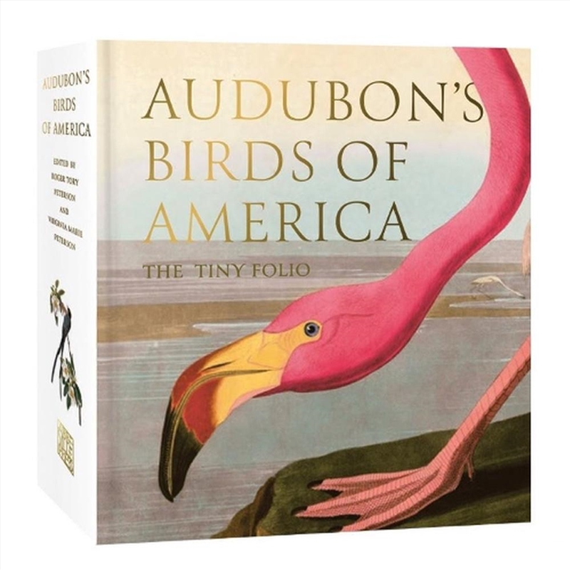 Audubon's Birds Of America: The Tiny Folio/Product Detail/Reading