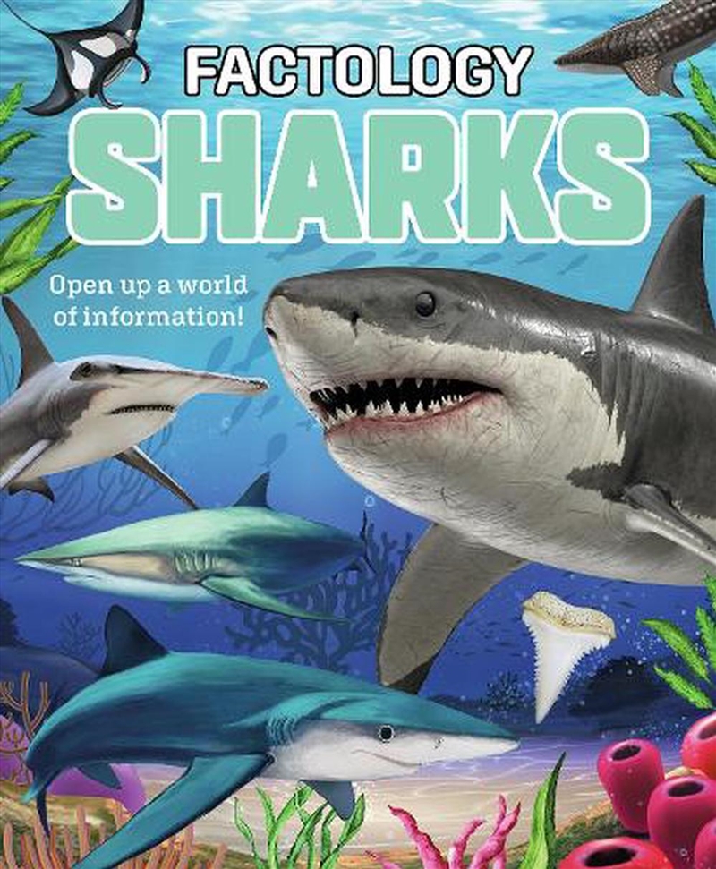 Factology: Sharks/Product Detail/Childrens