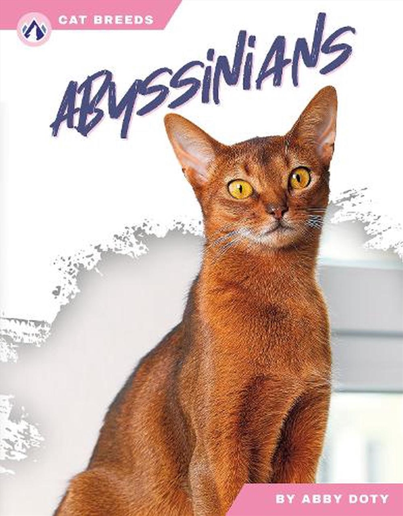 Cat Breeds: Abyssinians/Product Detail/Childrens