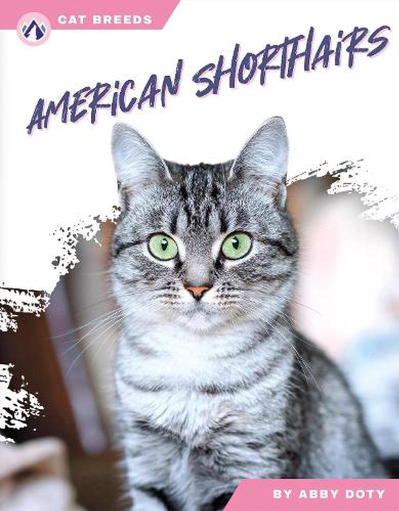 Cat Breeds: American Shorthairs/Product Detail/Childrens