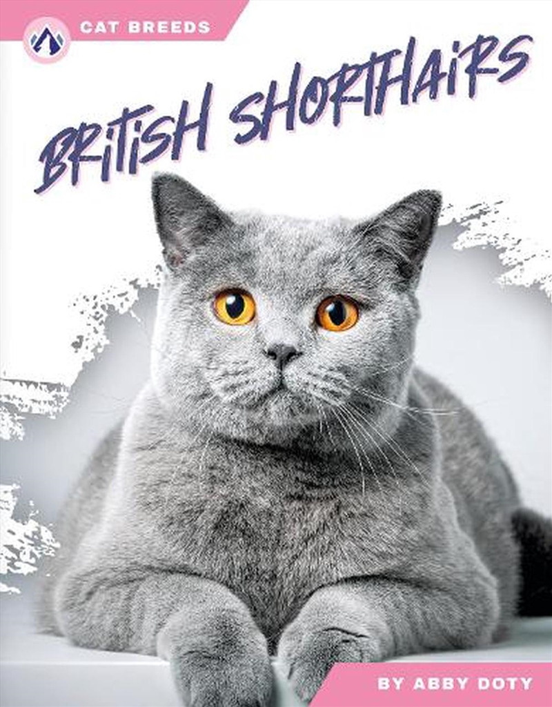 Cat Breeds: British Shorthairs/Product Detail/Childrens