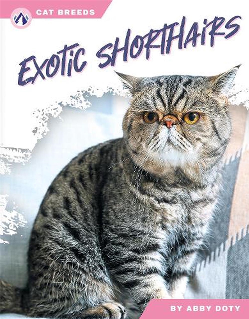 Cat Breeds: Exotic Shorthairs/Product Detail/Childrens