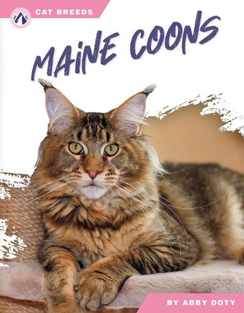 Cat Breeds: Maine Coons/Product Detail/Childrens