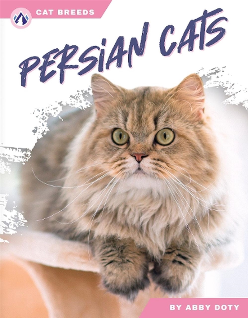Cat Breeds: Persian Cats/Product Detail/Childrens