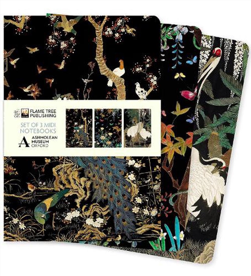 Midi Notebook Collection: Ashmolean Museum (Set Of 3)/Product Detail/Notebooks & Journals