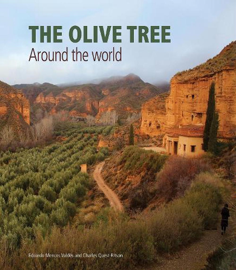 Olive Tree: Around The World/Product Detail/Gardening