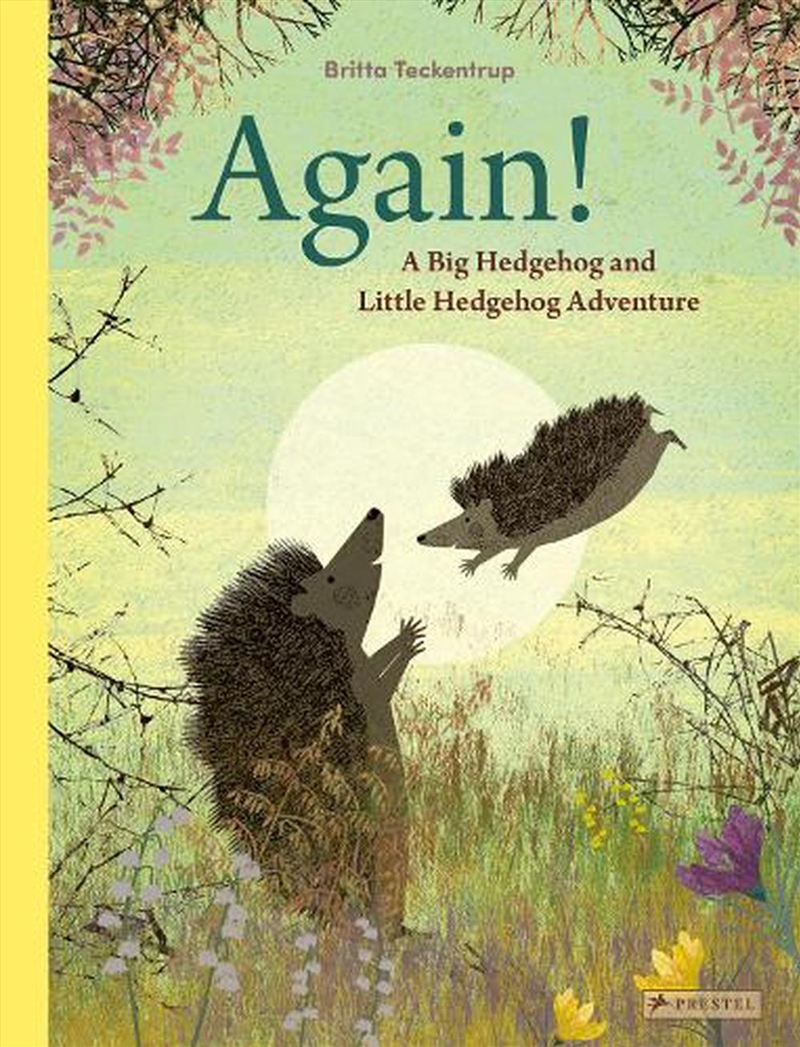 Again!: A Big Hedgehog And Little Hedgehog Adventure/Product Detail/Early Childhood Fiction Books