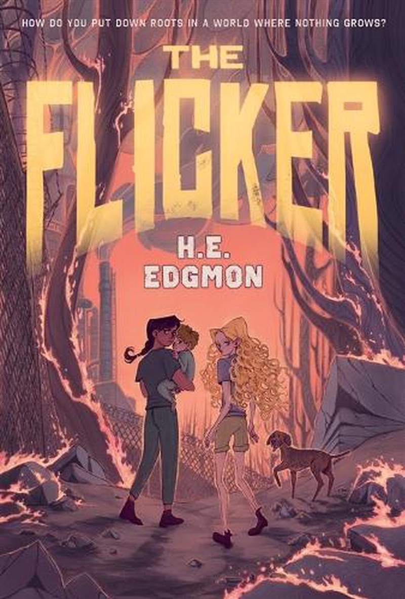 The Flicker/Product Detail/Childrens Fiction Books