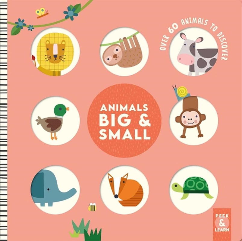 Animals Big & Small/Product Detail/Early Childhood Fiction Books