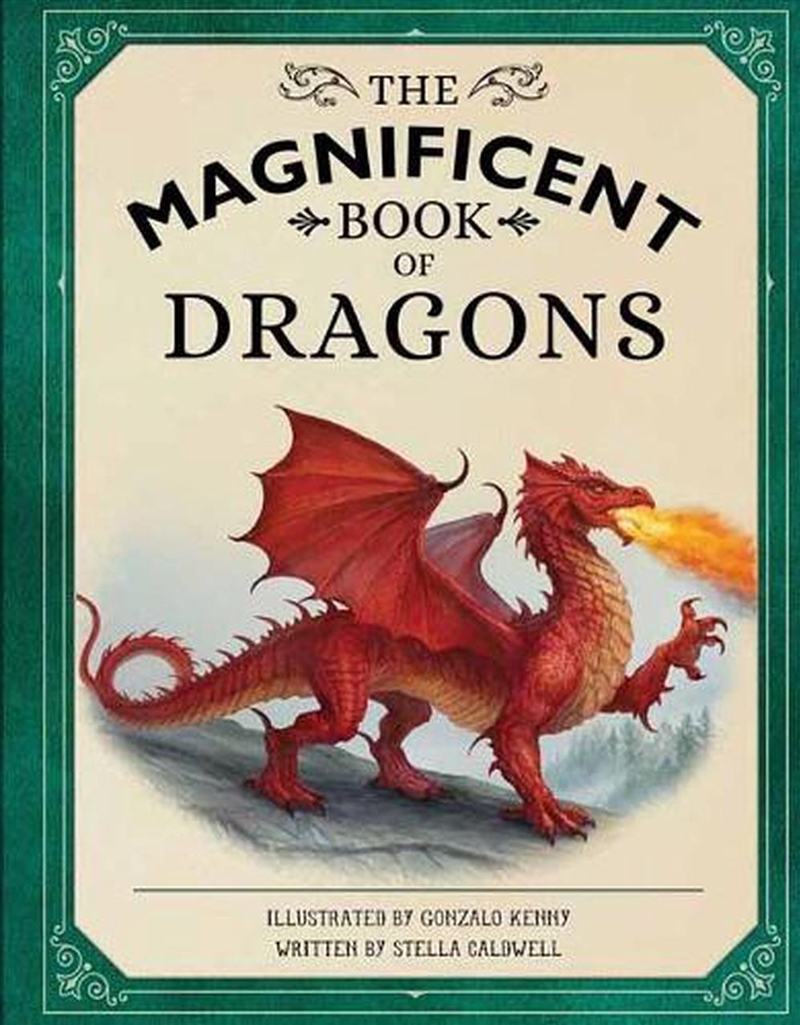 Magnificent Book of Dragons/Product Detail/Childrens Fiction Books
