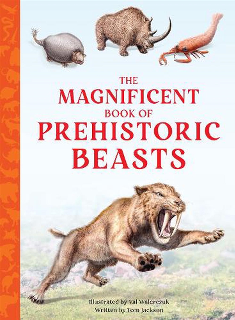 Magnificent Book of Prehistoric Beasts/Product Detail/Childrens