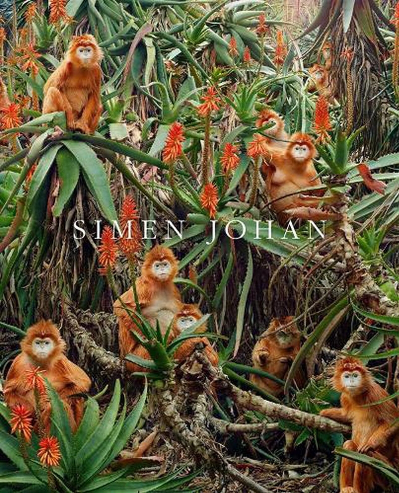 Simen Johan/Product Detail/Reading