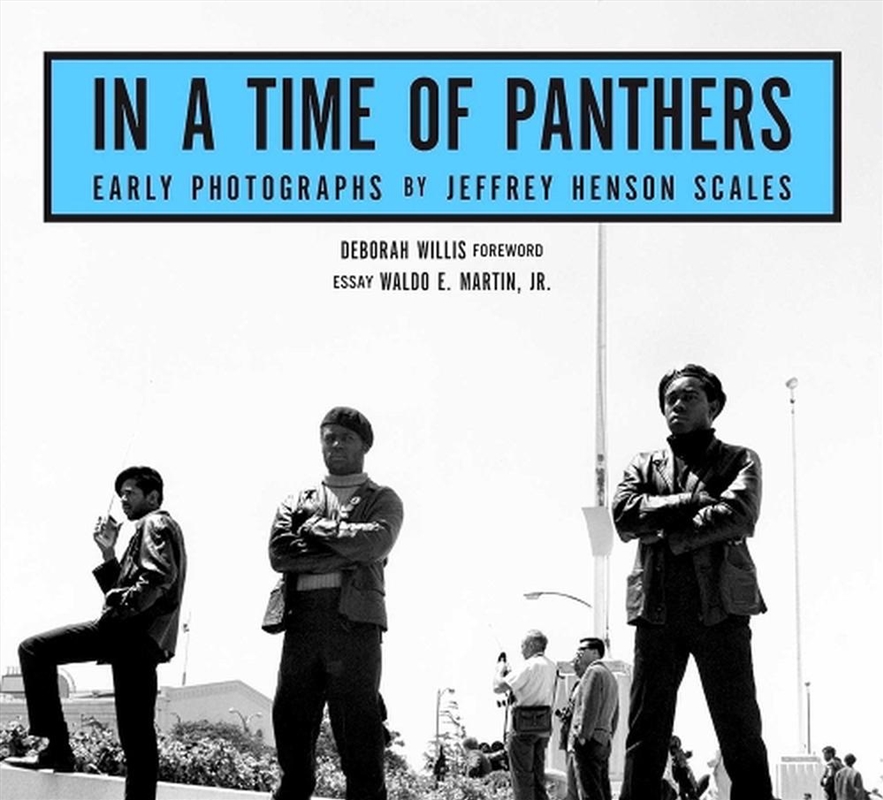 In A Time of Panthers/Product Detail/Reading
