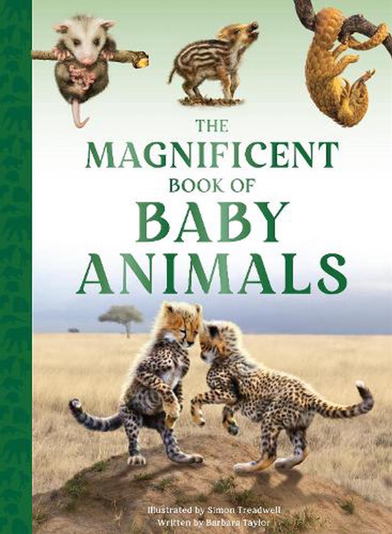 Magnificent Book of Baby Animals/Product Detail/Childrens