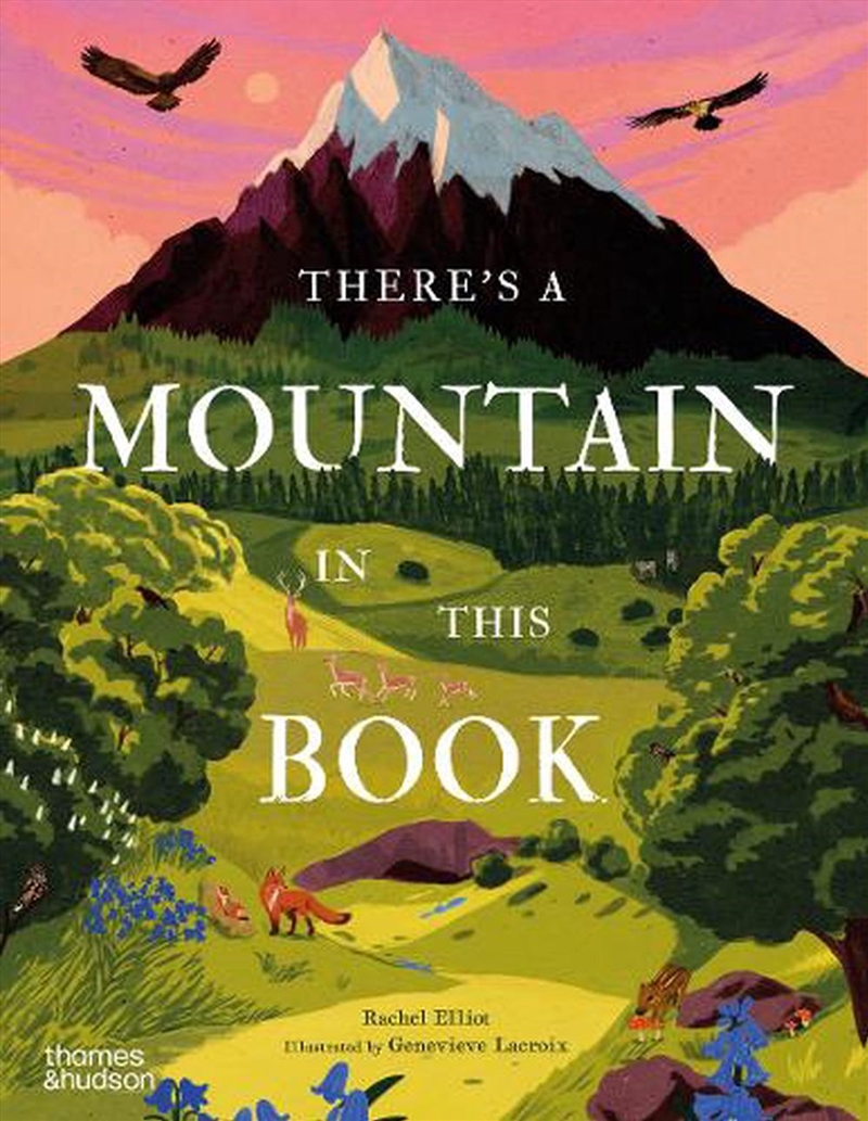 There's A Mountain In This Book/Product Detail/Childrens