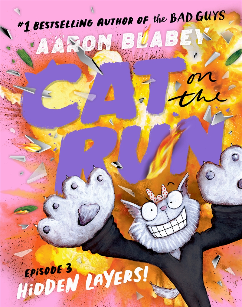 Cat on the Run: Episode 3/Product Detail/Childrens Fiction Books