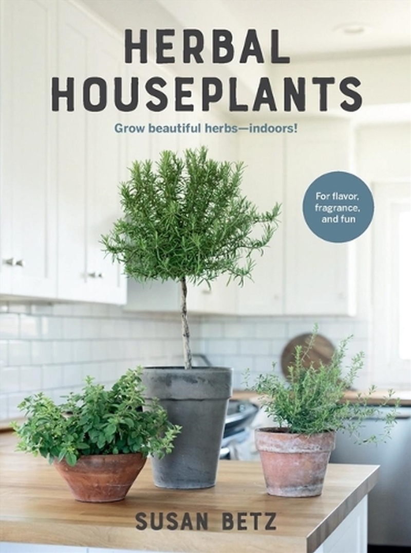 Herbal Houseplants/Product Detail/Gardening